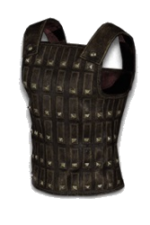 The Gladiator’s Bane