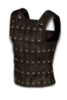 The Gladiator’s Bane 36 The Gladiator’s Bane
