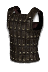 The Gladiator’s Bane