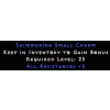 5 all resistances small charm