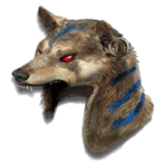 Jalal's Mane