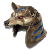 Jalal's Mane