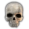 d4-flawless-skull