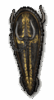 Isenhart's Parry