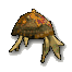 Infernal Cranium